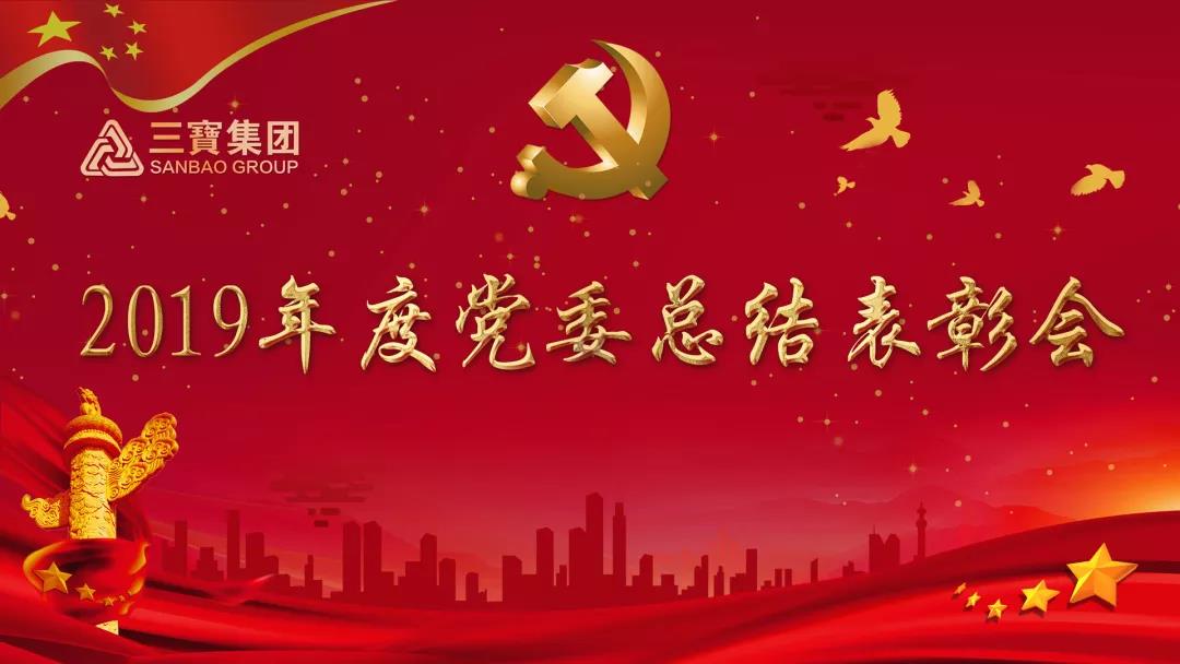 萬眾一心加油干，不負(fù)韶華勇向前｜三寶集團(tuán)黨委召開2019年度總結(jié)表彰會